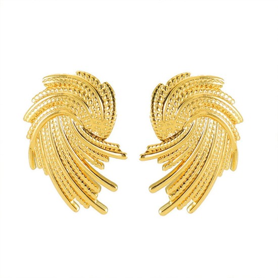 Spiral Fireworks Stainless Steel Earrings