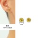 Zircon diamond stainless steel earrings