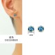 Zircon diamond stainless steel earrings
