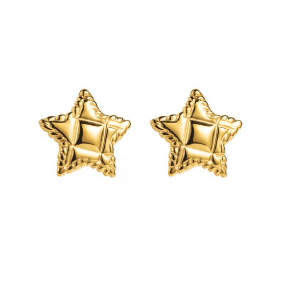 Five pointed star stainless steel earrings