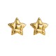 Five pointed star stainless steel earrings