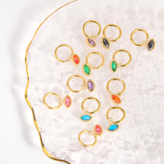 Zircon Eye Stainless Steel Earrings