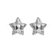 Five pointed star stainless steel earrings