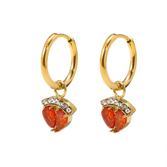 Crown zircon stainless steel earrings