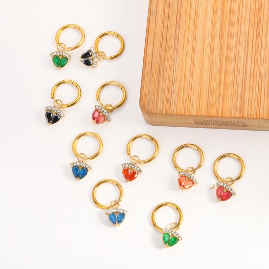 Crown zircon stainless steel earrings