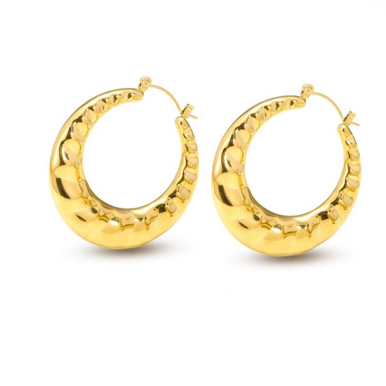 Geometric design stainless steel earrings