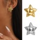 Five pointed star stainless steel earrings