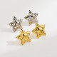 Five pointed star stainless steel earrings