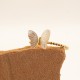 Butterfly stainless steel ring