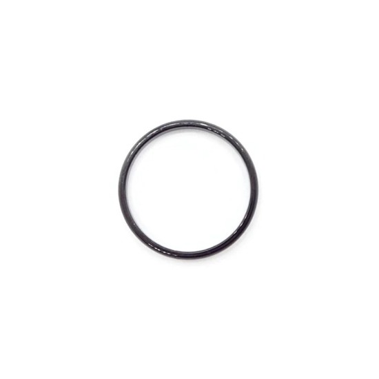 Black stainless steel ring