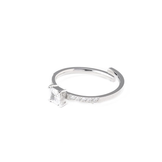 Zircon stainless steel ring