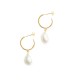 Pearl stainless steel earrings