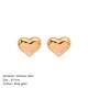 Heart shaped stainless steel earrings