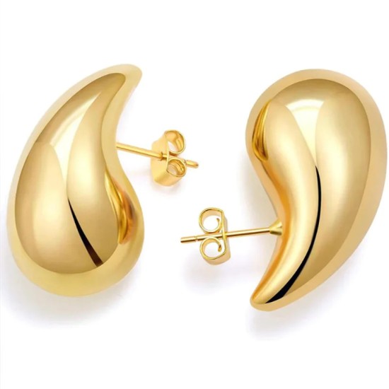 Crescent shaped stainless steel earrings