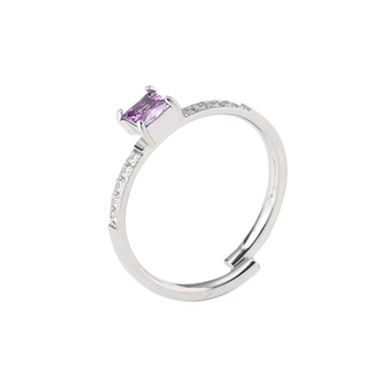 Zircon stainless steel ring