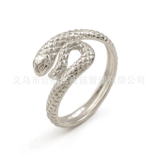 stainless steel ring