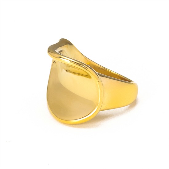 Curved three-dimensional stainless steel ring