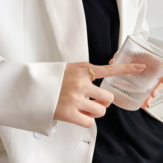 Stainless steel ring