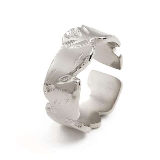 stainless steel ring