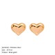Heart shaped stainless steel earrings